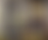 Museum side : Karel Appel & les expos de l'été