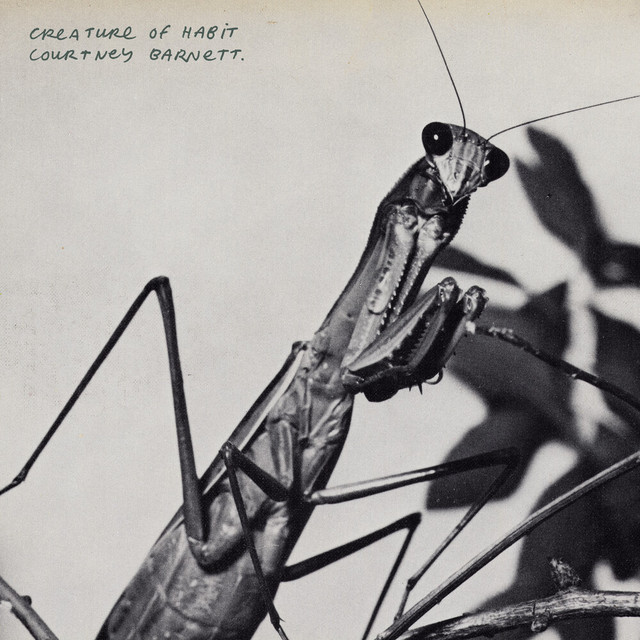 Site Unseen (feat. Waxahatchee)