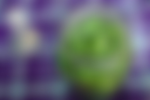 Alimentaire mon cher Watson : la fermentation