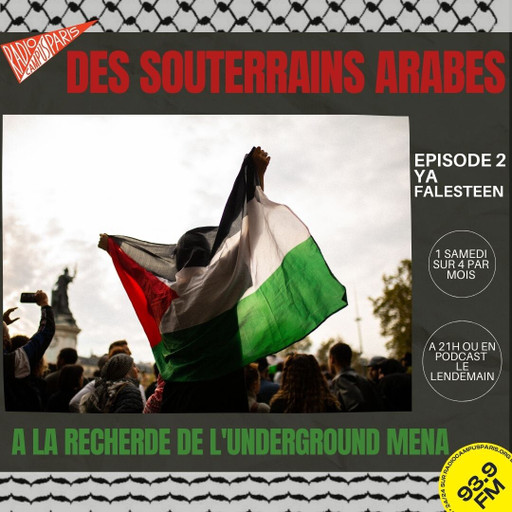 Des Souterrains Arabes 2: YA FALESTEEN