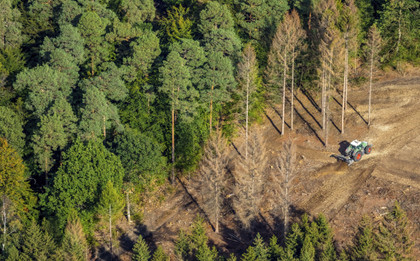 Lutte contre la déforestation : l’eurodéputé David Cormand fustige le recul européen