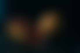 Chablis à la Villa Pamplemousse