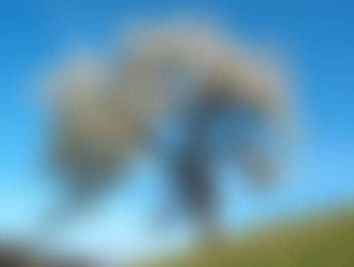 Les Voix du Crépuscule : De la Perse à l'Iran