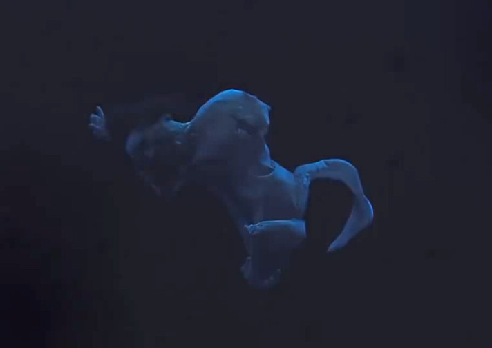 Épisode Extérieur Nuit # Le degré zéro de la peau de l'émission Extérieur Nuit