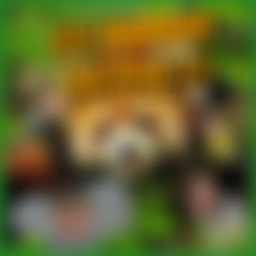 Mercredi ! Les animaux en folie