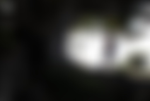 Profession Documentariste / Julie Bertuccelli