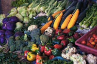 A Nantes, une expérience de sécurité sociale de l’alimentation