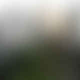 Amplitudes : Sélection Extérieure #1 - Mata Hari S...