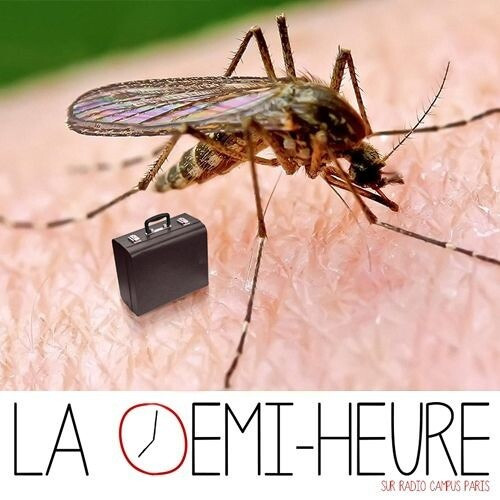 Épisode La demi-heure : Le profiteur et l'inégalité de l'émission La demi-heure