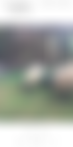 EN SCRED 15/04 : est-ce qu'on se connaît vraiment...