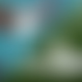 Mercredi ! La passion sportive