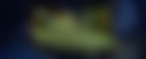 Extérieur Nuit : OURS ET GENTLEMEN