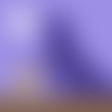 Le snob d'un autre : les snobismes par le langage