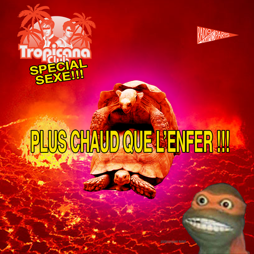 Épisode Random Sexe de l'émission Naufrage à Waikiki