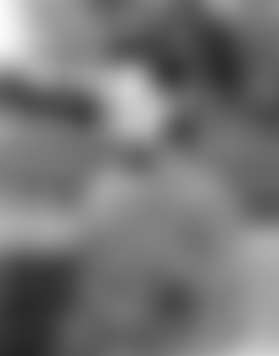 Planisphère : 35 – Charline Dally