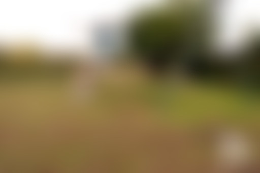 37°2 / Quatre enfants pleins d'avenir