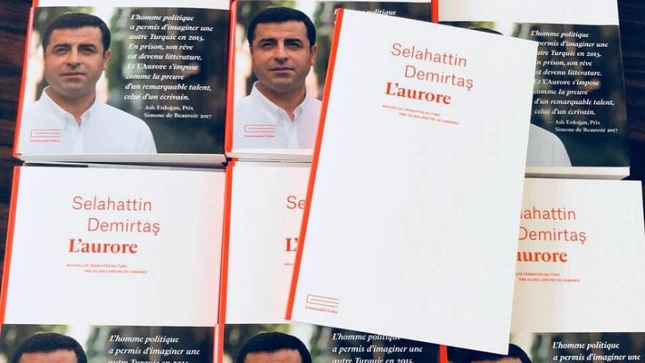 Épisode Loulou lit Selahattim Demirtas - La petite sirène... de l'émission Loulou lit des Histoires