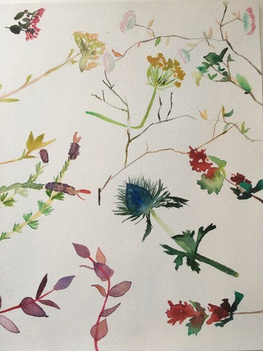 Épisode Loulou lit Anne Sylvestre #6 de l'émission Loulou lit des Histoires