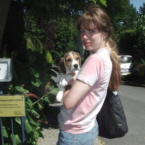 Épisode On veut de la musique pour chiens et de la convivi... de l'émission On veut du solide