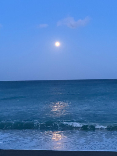 Voix enchantées épisode 29 - Juliette