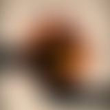 Hemisphere Sound #03 : Les Tropiques Brésiliens