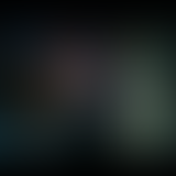 Sandwich Triangle / Codex of Plant Responses