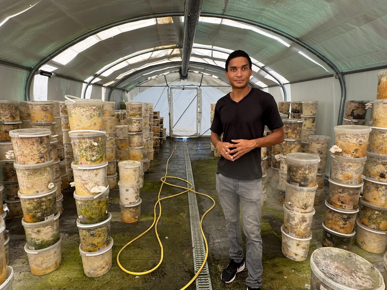 © Cécile Rémusat Karulium, des champignons produits et commercialisés en Guadeloupe