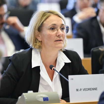 Accord UE-Mercosur : jusqu'où iront les négociations ? - Marie-Pierre Vedrenne