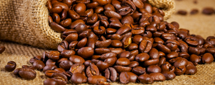 Épisode Le Cogito de René Descartes de l'émission Les aventures de la philosophie à Santa Barbara