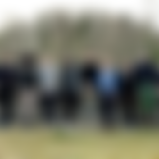 Que Vola? La Habana connection