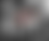 Thelma et Louise : Le Best-of de Noël