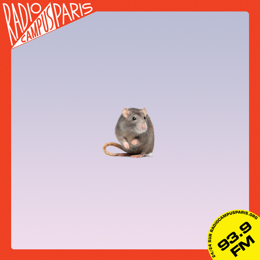 Le Rat de Radio