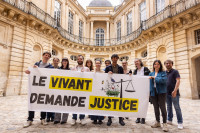 Justice pour le vivant : un recours en exécution pour contraindre l'Etat à agir