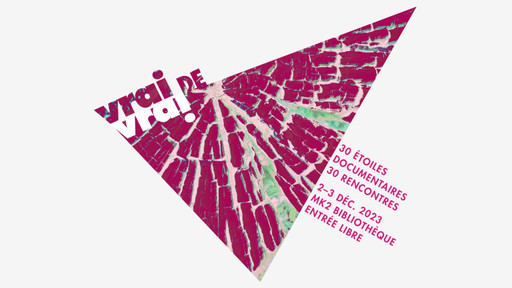 Curiociné au Festival Vrai de Vrai avec les Années...