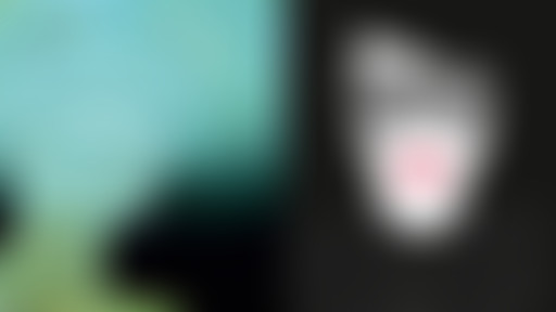 Novorama - spéciale Trans Musicales / Bars En Tran...