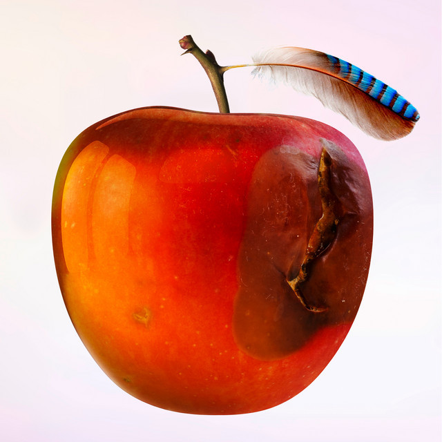 Insel der Verlassenheit