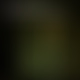 Yummy // Sonic Youth & Deerhunter