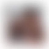 La Bringue : SOS Citizen