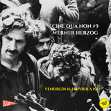 Werner Herzog, Aguirre, la colère de dieu et Au cœ...