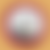 à la recherche de la recherche, l'émission des doc...