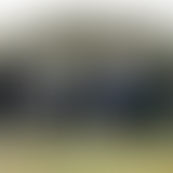 Que Vola? La Habana connection