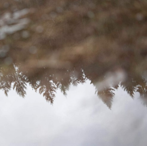 Épisode Récréation Sonore: LA VOIX#2 de l'émission Récréation sonore