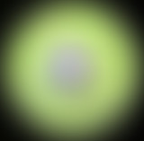 Performance et compétition sportives