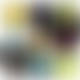 Planisphère : 14 - Le meilleur de 2018