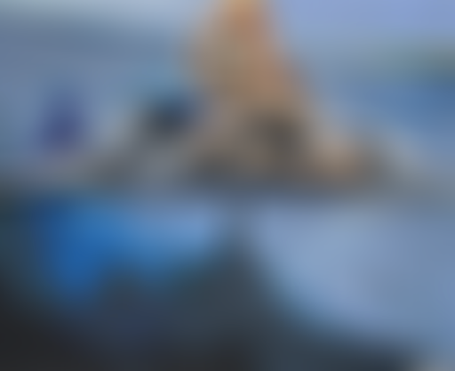 Mercredi ! Les Femmes et la Mer