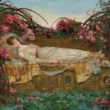 Amplitudes : Le sommeil