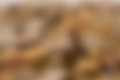 Place Publique #2 - L'Economie