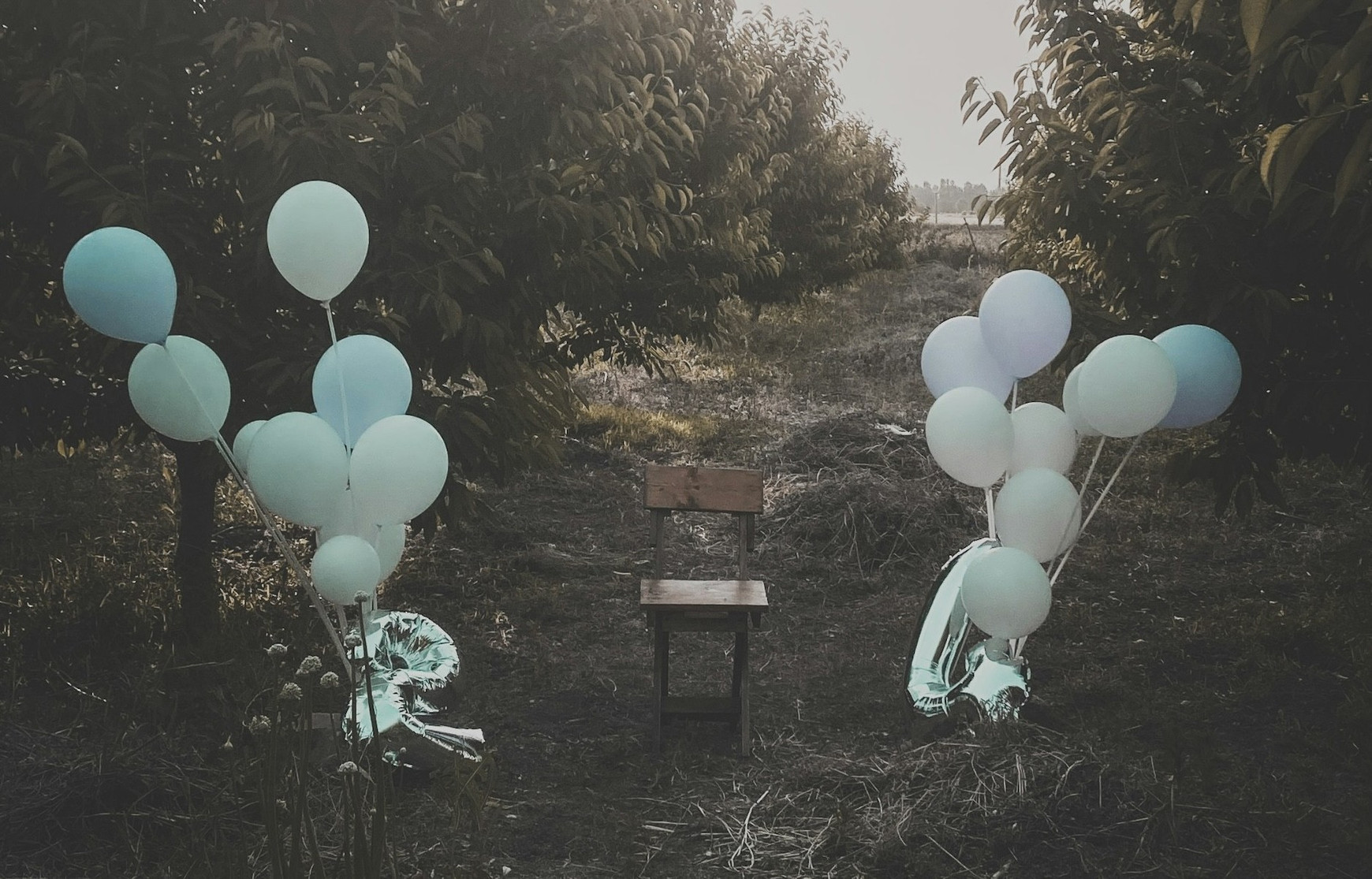 Photo de Ghavam Cheraghali sur Unsplash L'anniversaire d'un traité fantôme