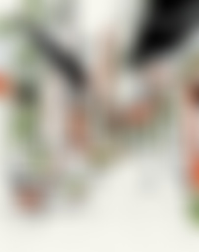 Mercredi ! Dolce Vita italienne