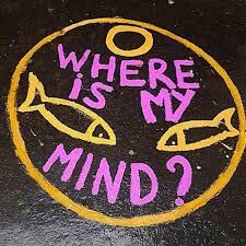 Épisode Face aux murs // Noé et les trottoirs qui chantent de l'émission Face aux Murs